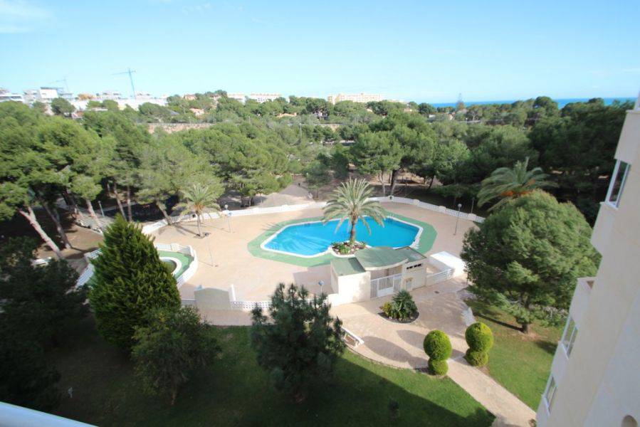 Reventa - Apartment - Orihuela Costa - Campoamor