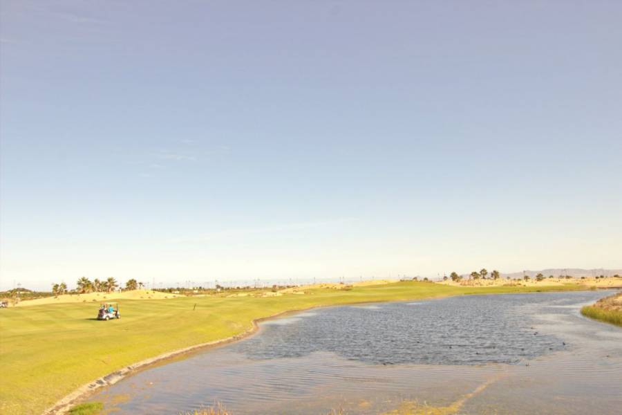 Nueva construcción  - Chalet - Pilar de la Horadada - Lo romero golf