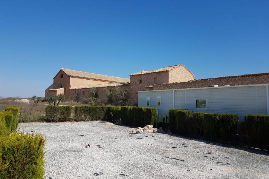 Reventa - Commercial Unit - Pinoso - Paredon