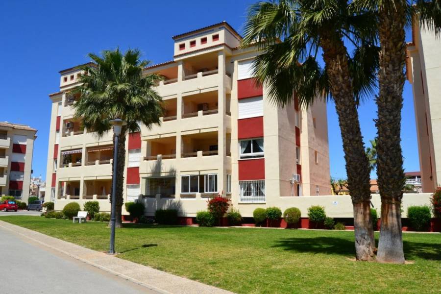 Resale - Apartment - Orihuela Costa - Playa Flamenca