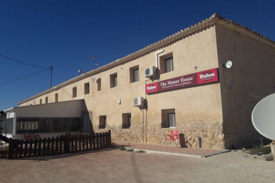 Reventa - Commercial Unit - Pinoso - Paredon