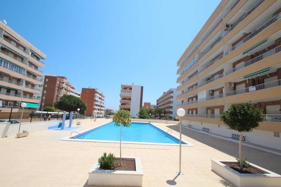 Reventa - Apartment - Torrevieja - Rocio del mar