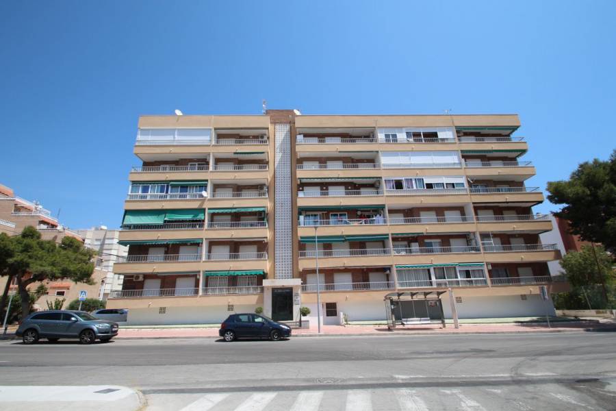 Reventa - Apartment - Torrevieja - Rocio del mar