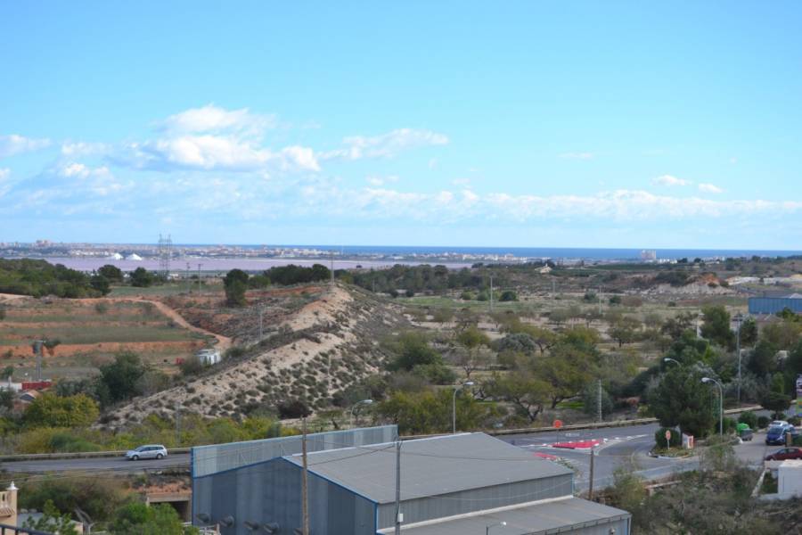 Resale - Apartment - San Miguel de Salinas