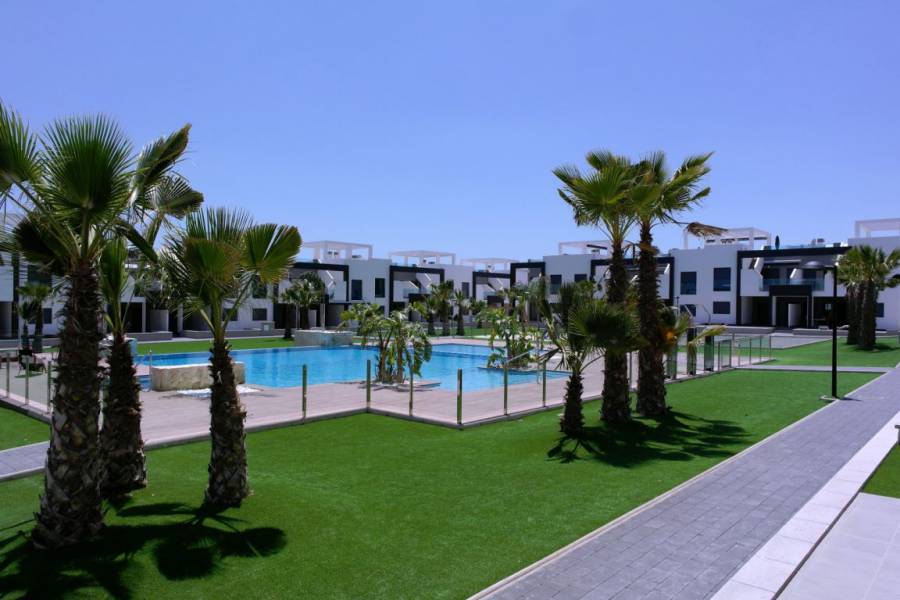 New Build - Apartment - Guardamar del Segura - EL RASO